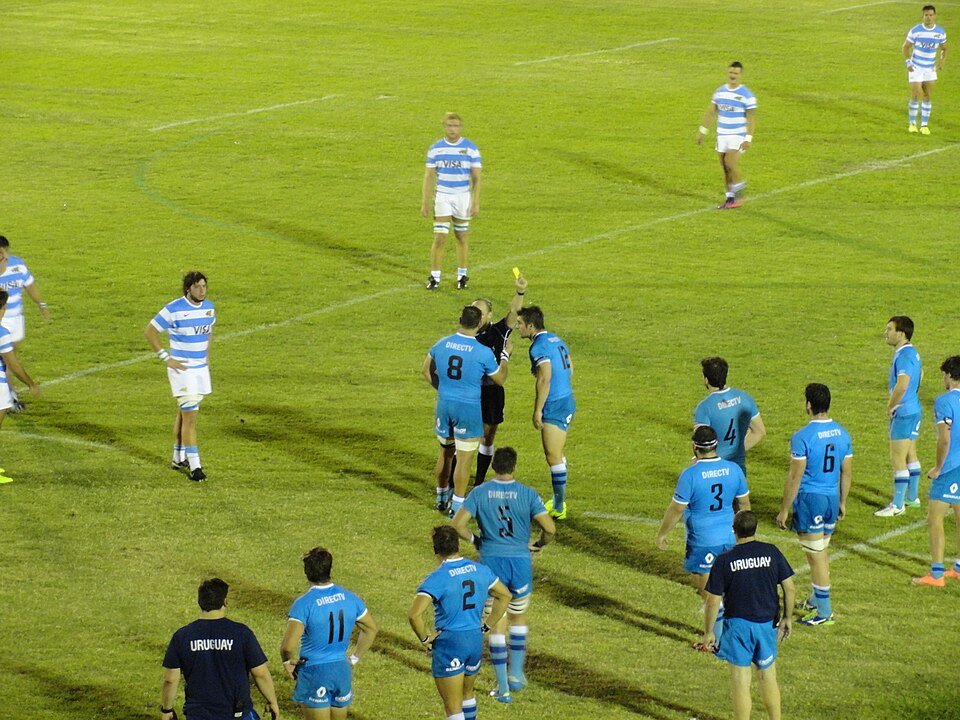 Illustration: Common Infringement Signals and Their Meanings