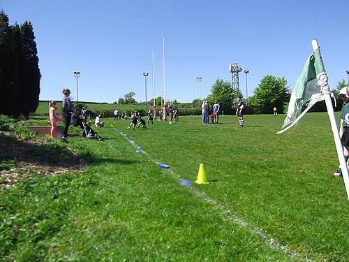 Illustration: Position-Specific Strength Training