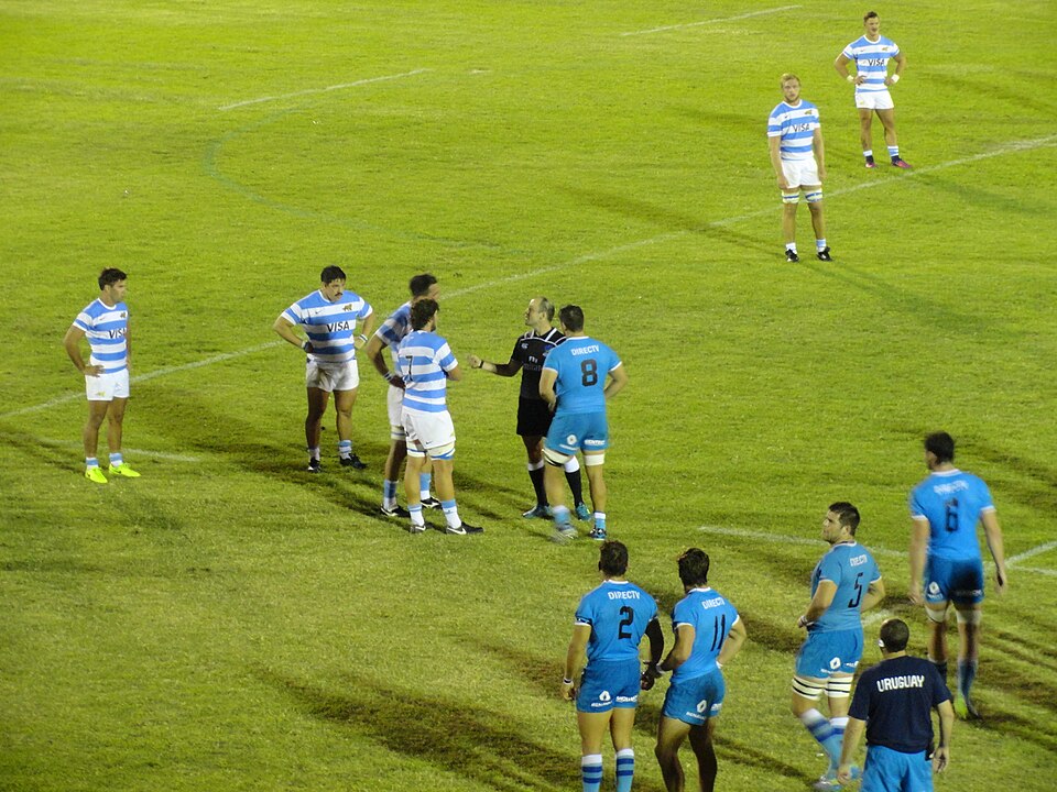 Illustration: Primary Rugby Referee Signals Explained